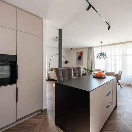 Apartment Luxury Loft