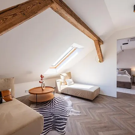 Luxury Loft Apartment